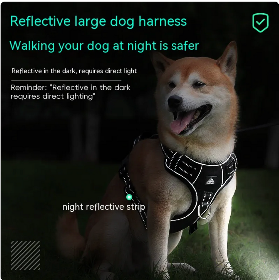 Walks & Wear