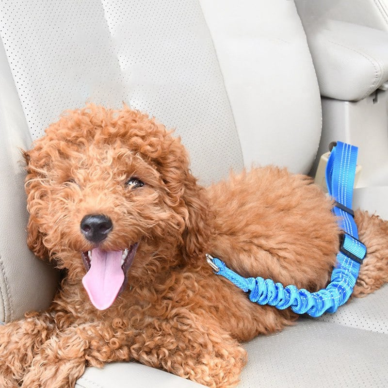 PAW & CO. Elastic Dog Car Seat Belt