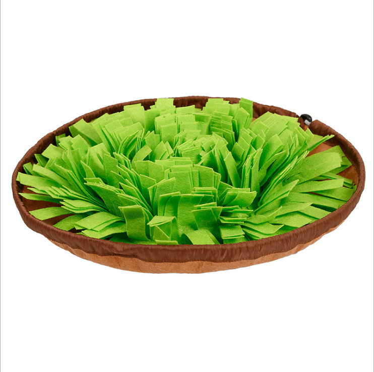 Dog Snuffle Mat and Anti-Choke Dog Bowl