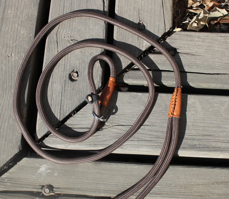 Everyday Dog Walking Leash