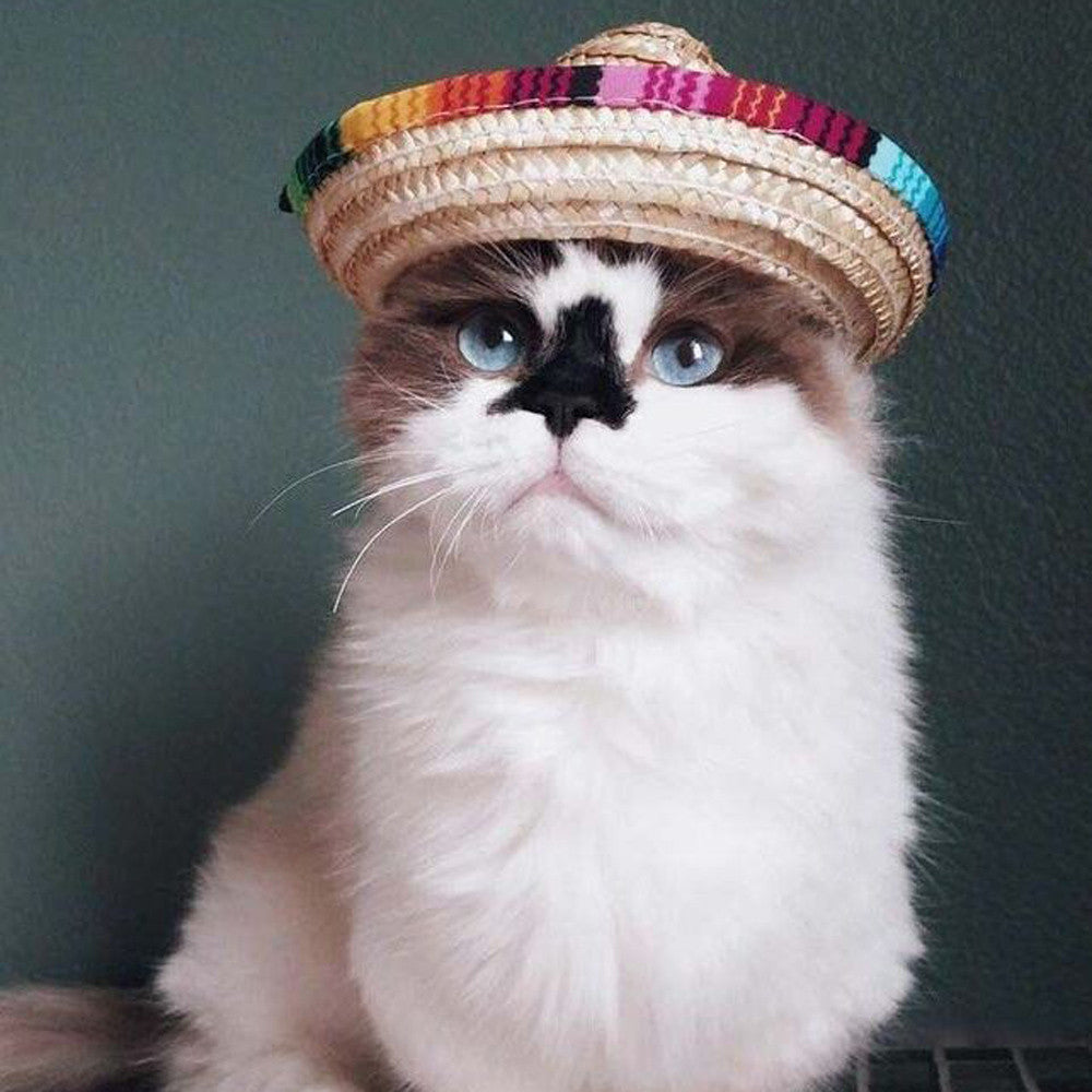Adjustable Pet Sun Hat