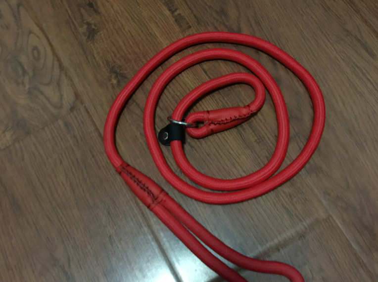 Everyday Dog Walking Leash