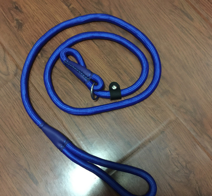 Everyday Dog Walking Leash
