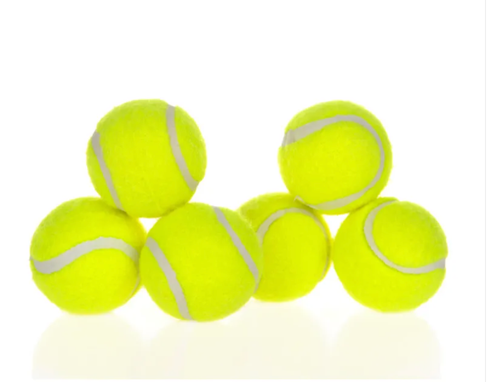 Automatic Dog Ball Launcher