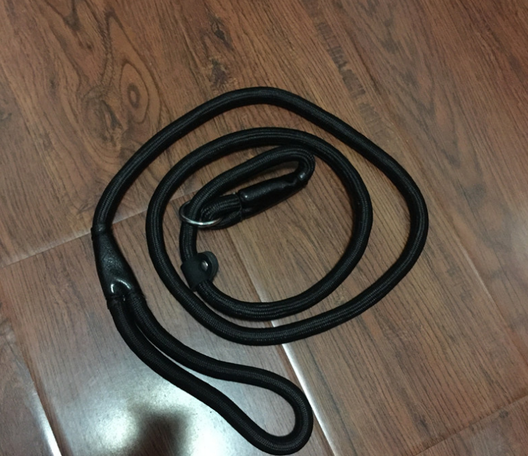 Everyday Dog Walking Leash