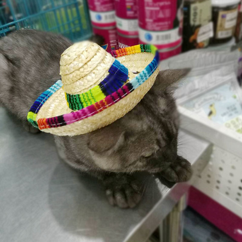 Adjustable Pet Sun Hat