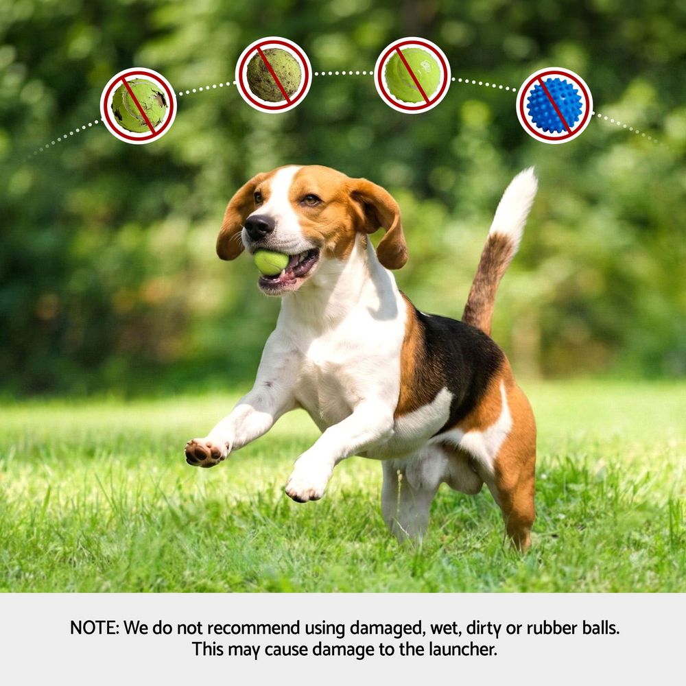 i.Pet 2-in-1 Dog Treat & Ball Dispenser