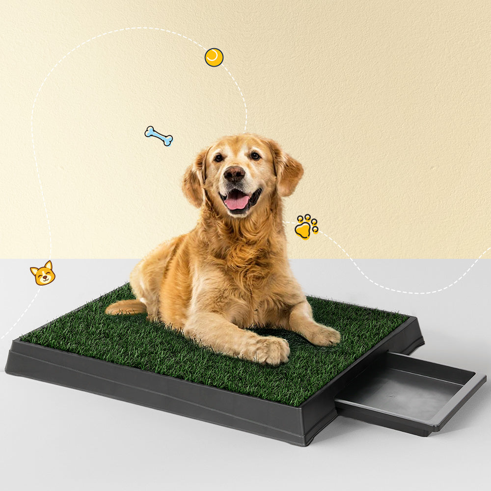 Grass Potty Training Tray for Dogs