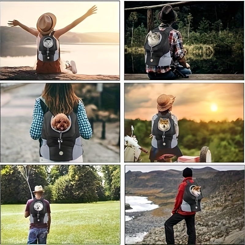 Hands-Free Small-Dog Carrier Backpack