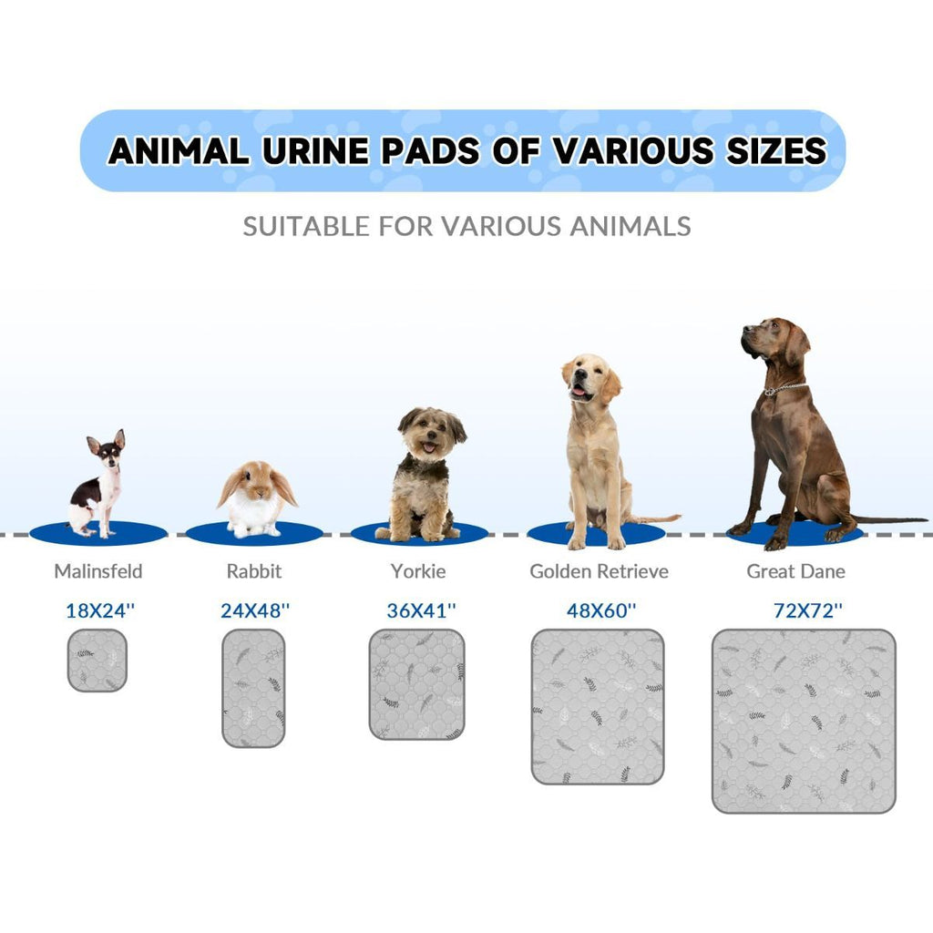 2-Pack Reusable Puppy Training Pads – 45x60cm