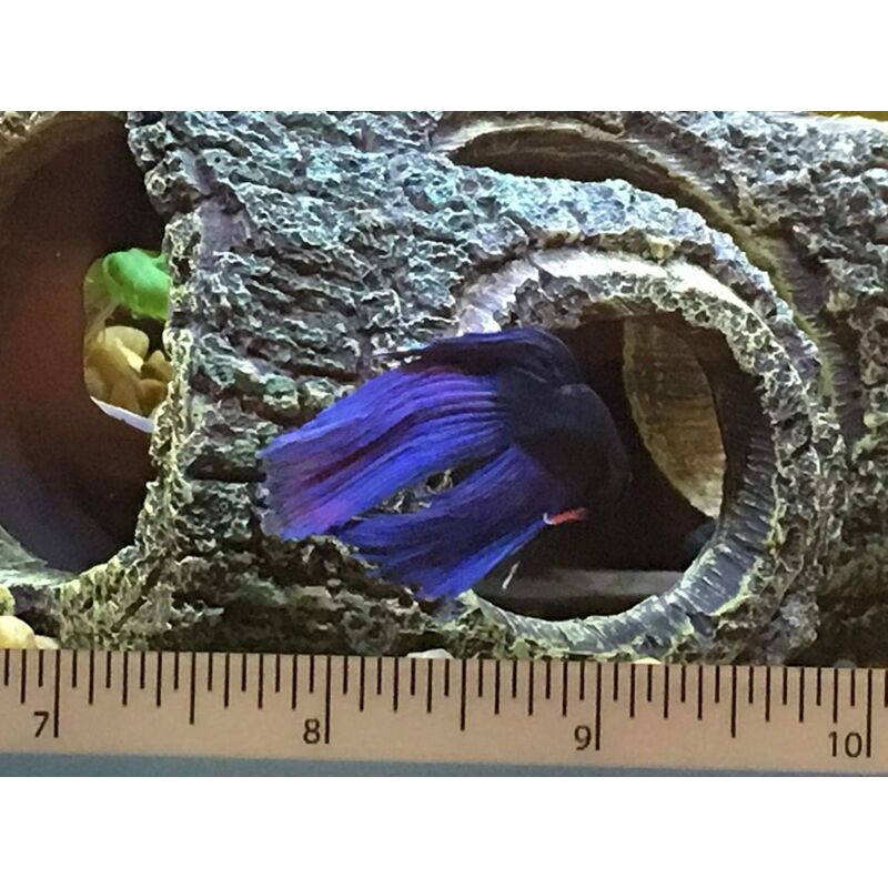 Resin Tree-Root Aquarium Cave
