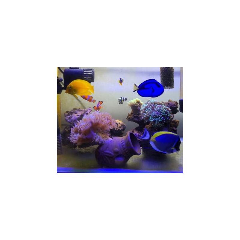 2-Piece Aquarium Cave Hideout Set