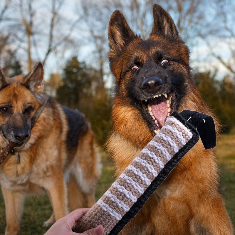 Jute Tug & Training Toy for Dogs