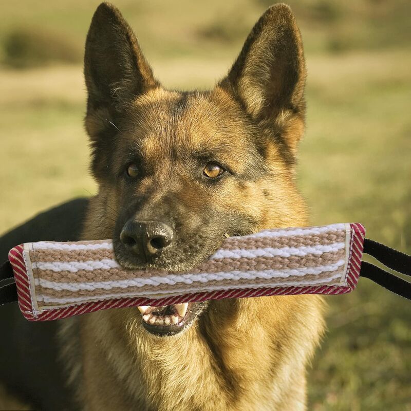 Jute Tug & Training Toy for Dogs
