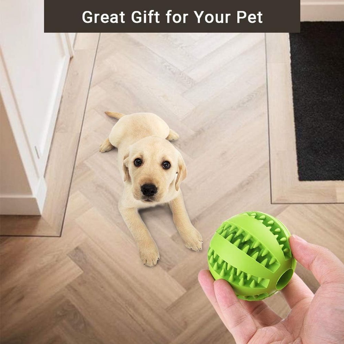 2-Pack Treat Dispensing Dog Balls