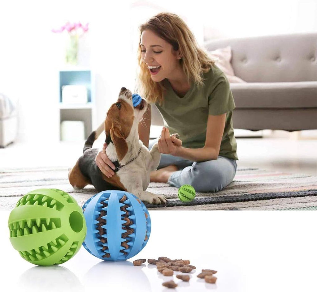 2-Pack Treat Dispensing Dog Balls