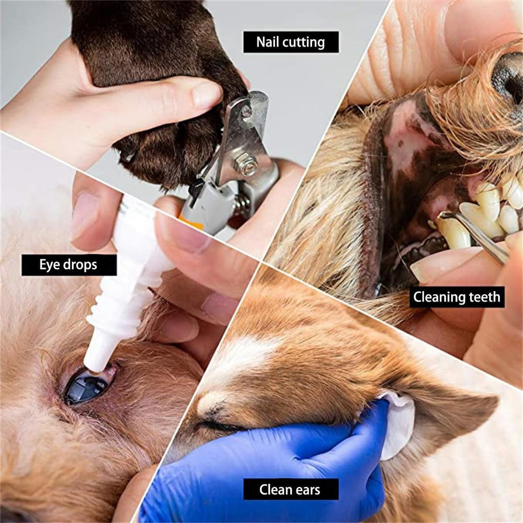 11-Piece Pet Grooming Hammock Kit – Small