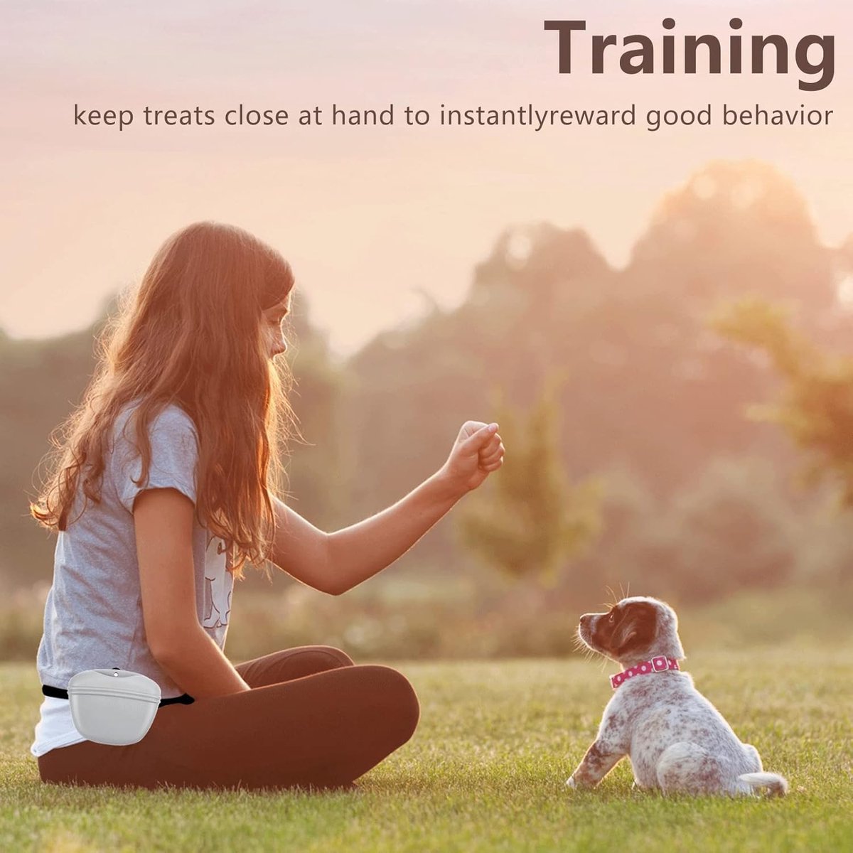 Silicone Dog Training Treat Pouches – Grey & Black