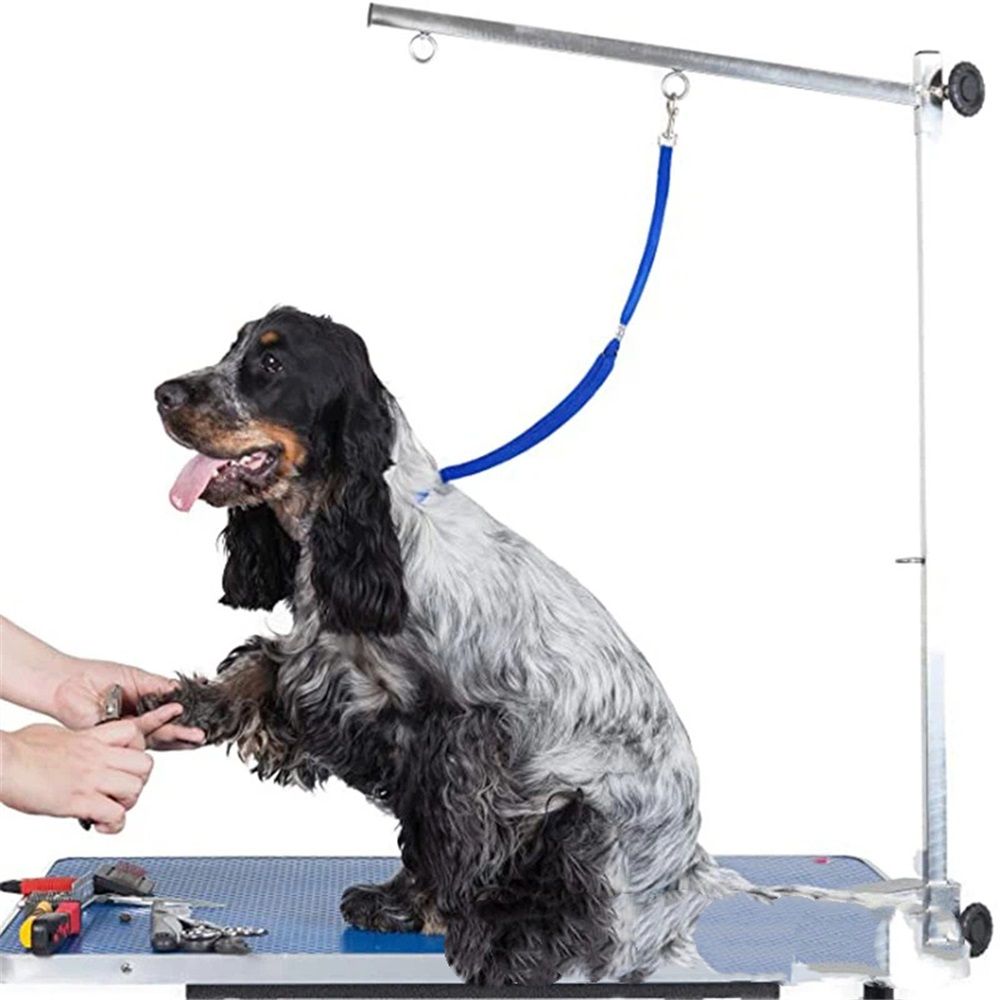 Waterproof Dog Grooming Loop – Blue
