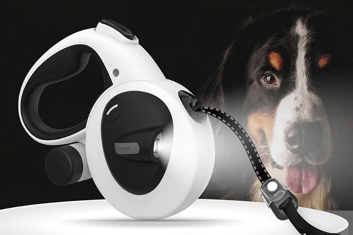 5m LED Retractable Dog Leash – Large