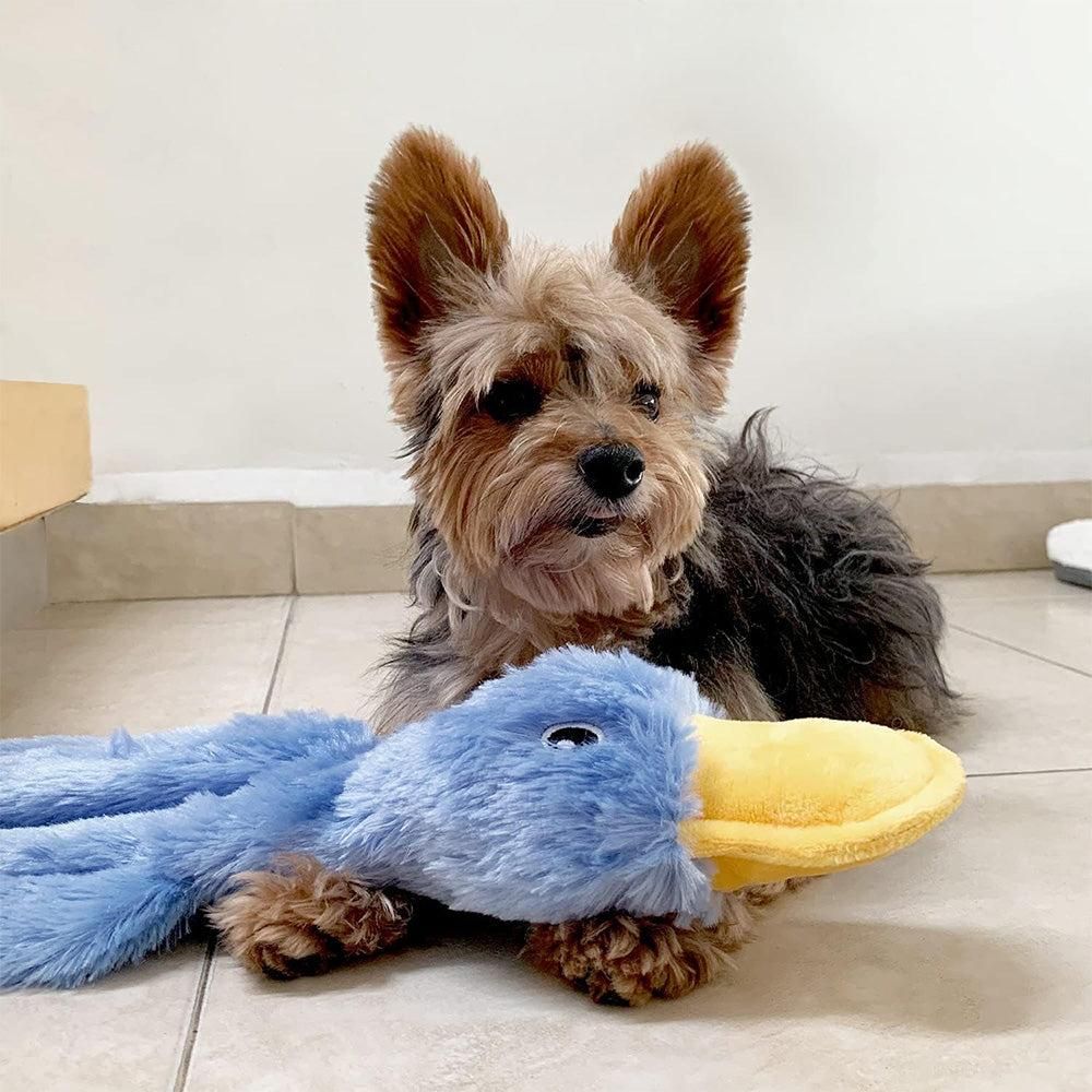 Interactive Plush Duck Chew Toy – Blue