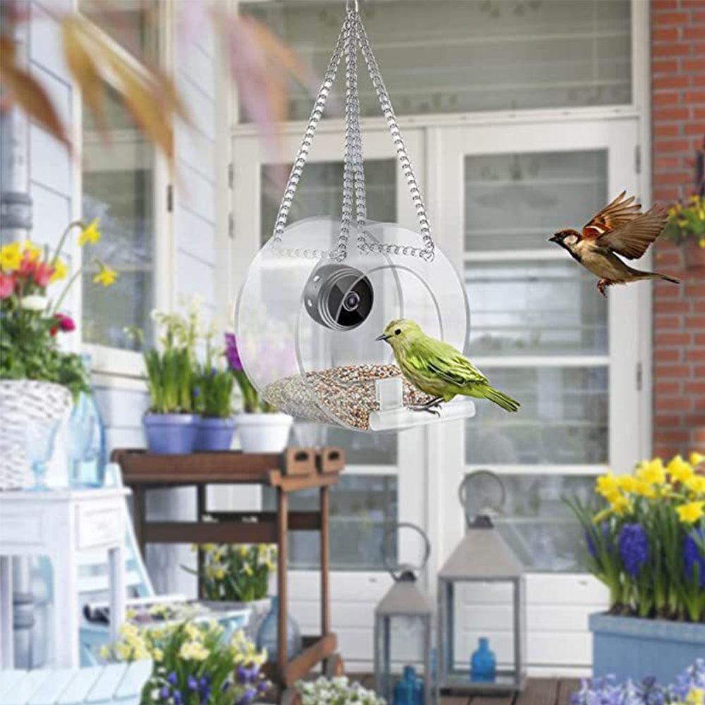 1080P Wi‑Fi Bird Feeder Camera with Night Vision
