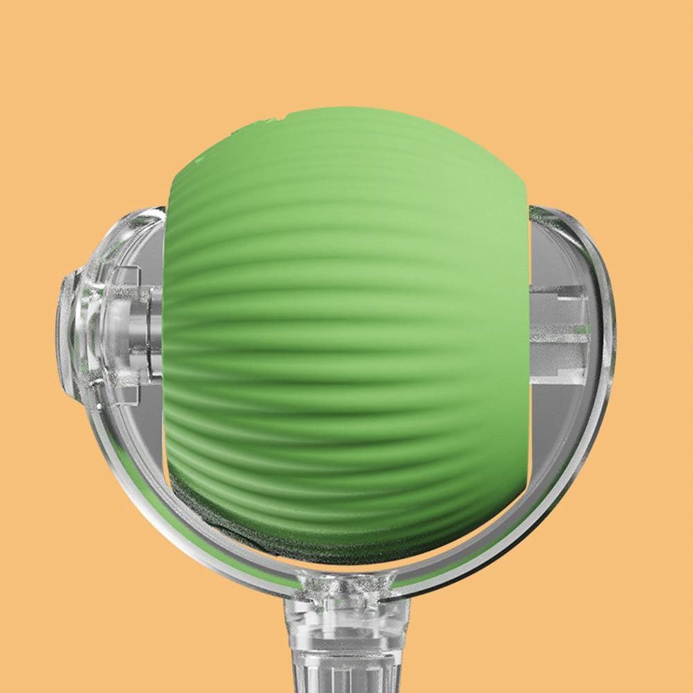 Interactive Auto-Rolling Cat Ball with Dragonfly Tail