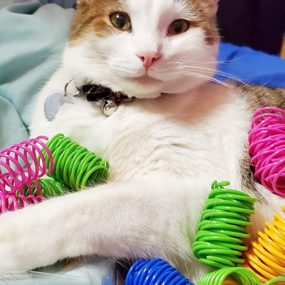 40-Pack Colourful Cat Spring Toys