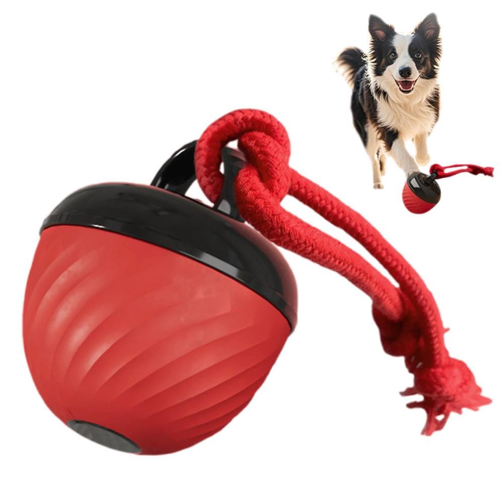 Motion-Activated Squeaky Dog Ball – Red