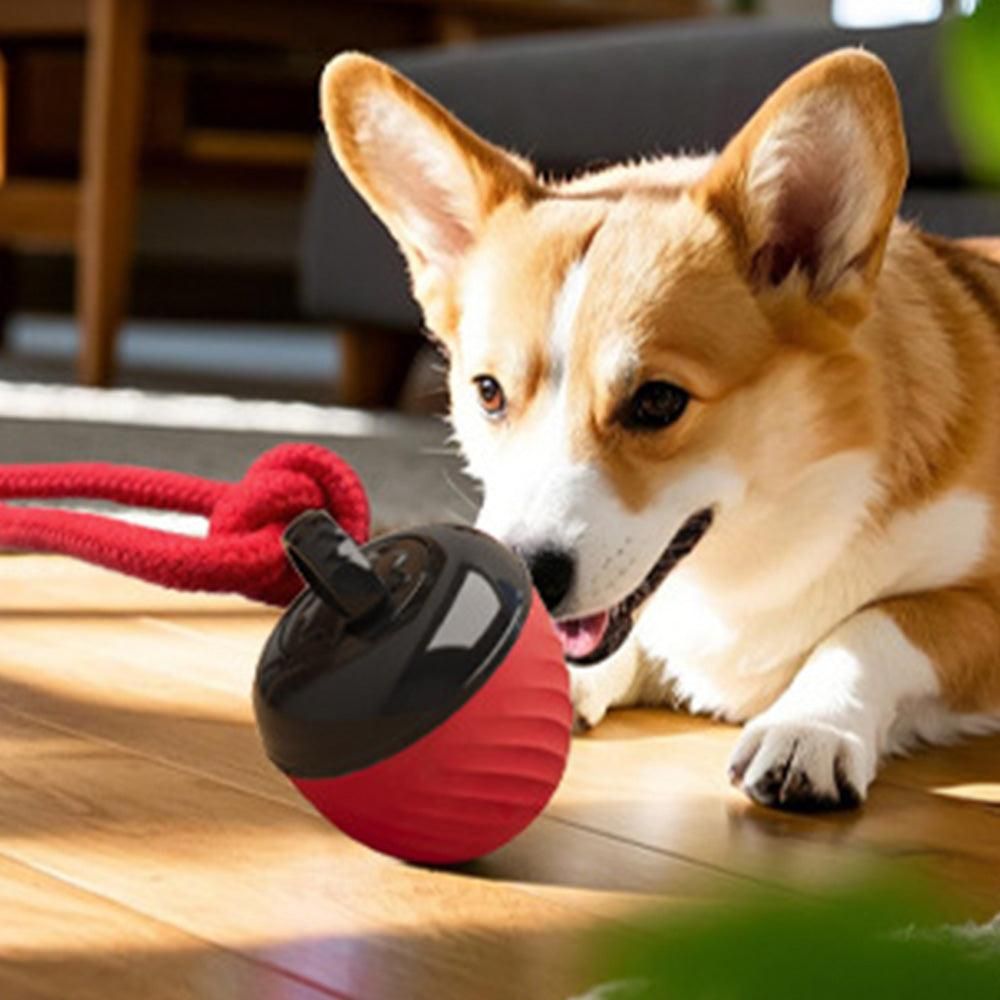 Motion-Activated Squeaky Dog Ball – Red