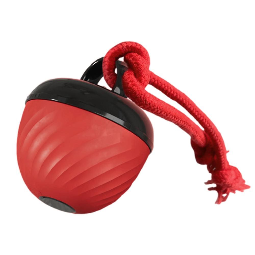 Motion-Activated Squeaky Dog Ball – Red