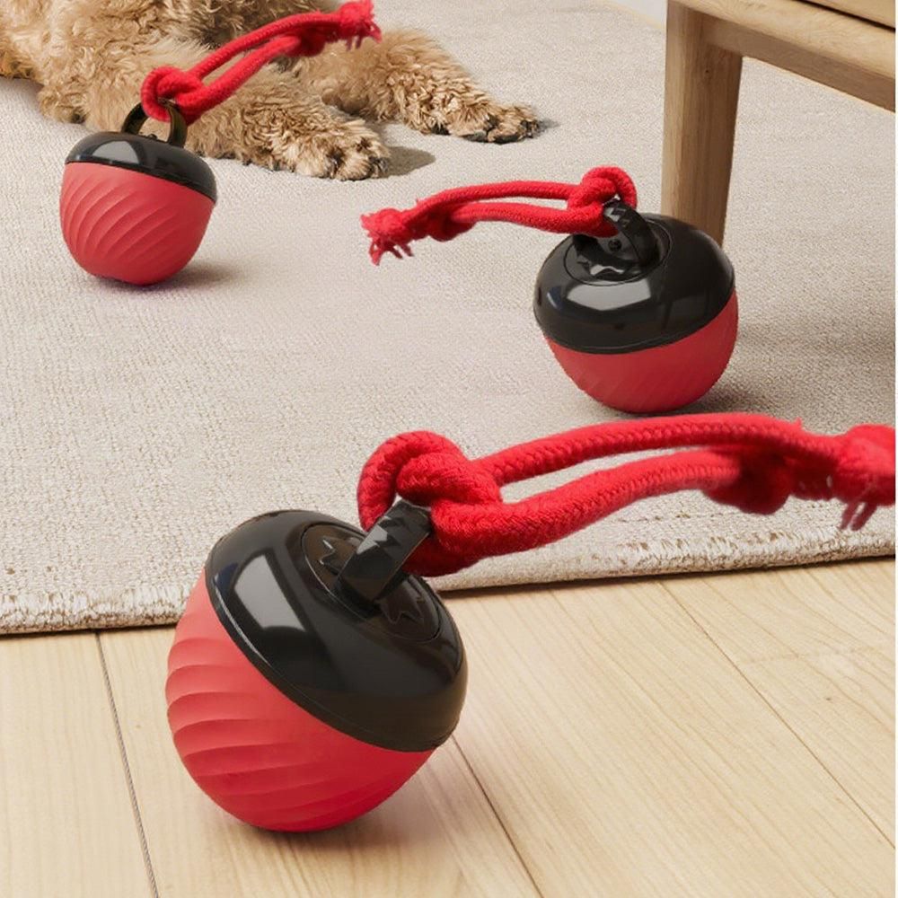 Motion-Activated Squeaky Dog Ball – Red
