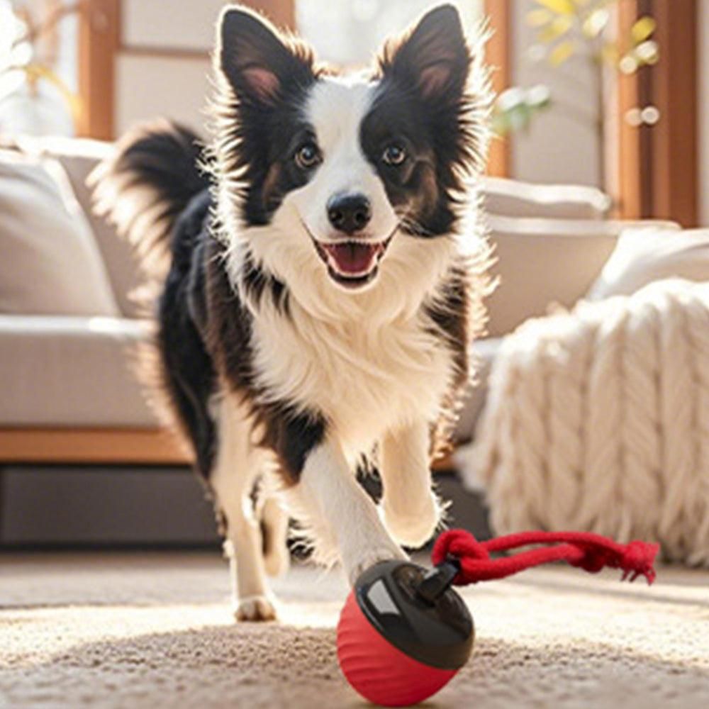 Motion-Activated Squeaky Dog Ball – Red