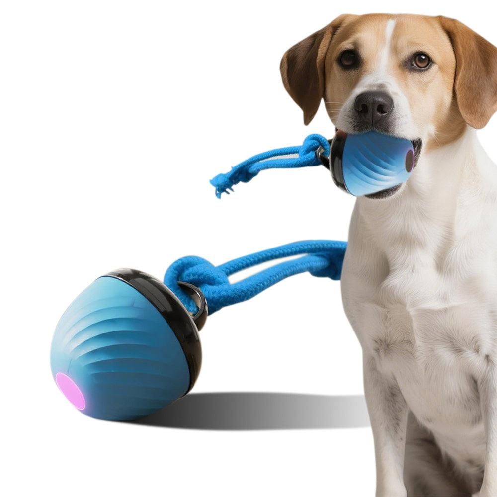 Motion-Activated Squeaky Dog Ball – Red