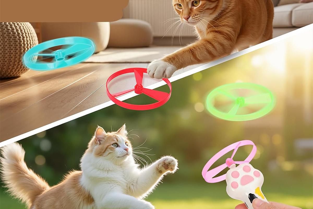 LED Cat Disc Launcher Toy