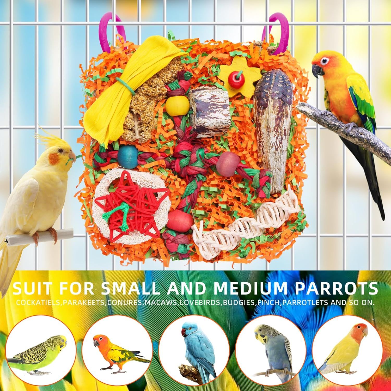 2-Pack Seagrass Bird Foraging Mats