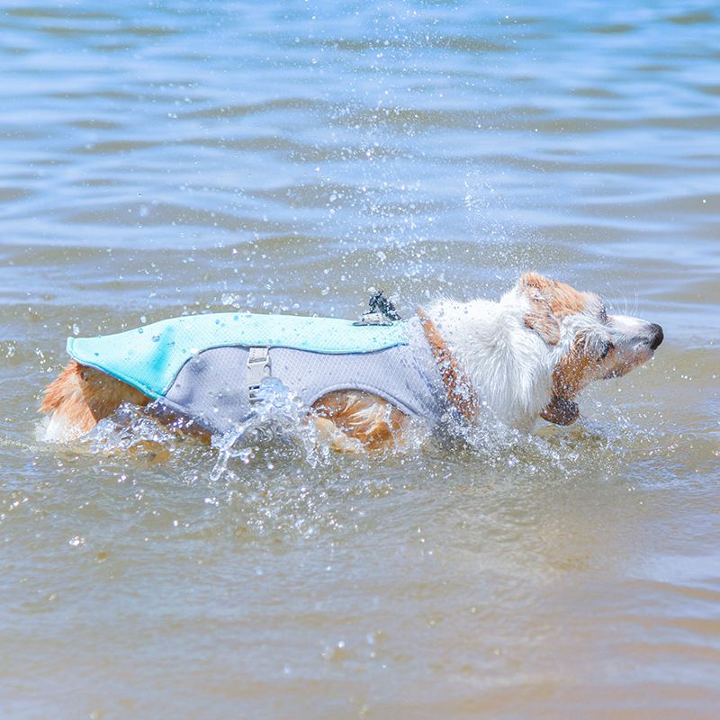 Cooling Dog Vest with Water Bottle – Size M