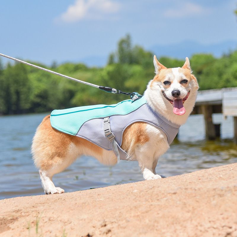 Cooling Dog Vest with Water Bottle – Size M