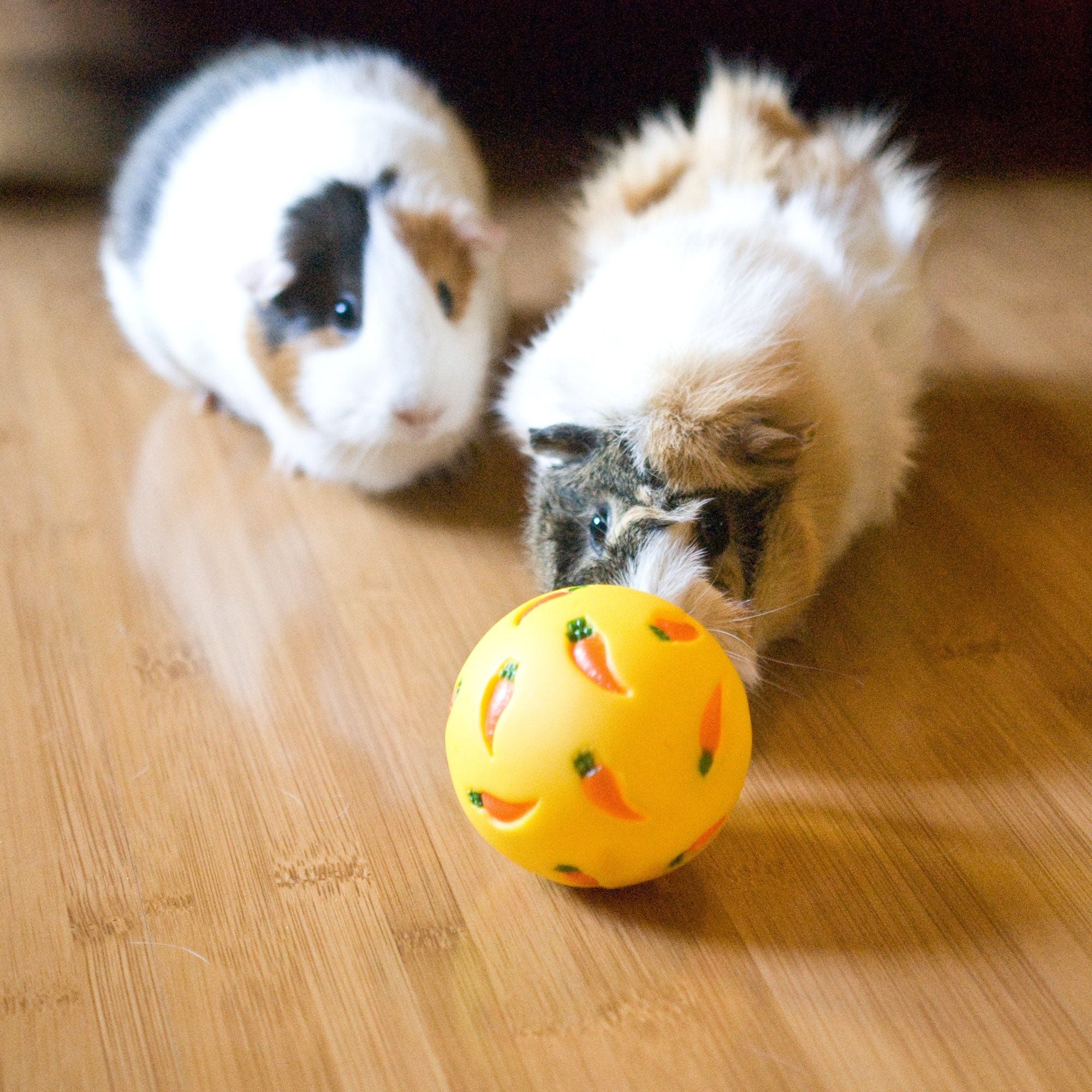 Adjustable Small-Animal Treat Ball – Yellow