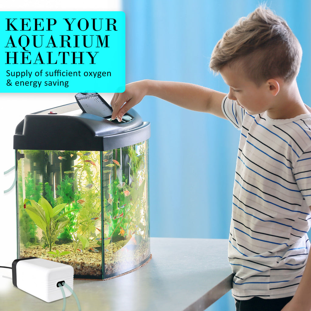 180L/H Dual-Outlet Aquarium Air Pump – 4W