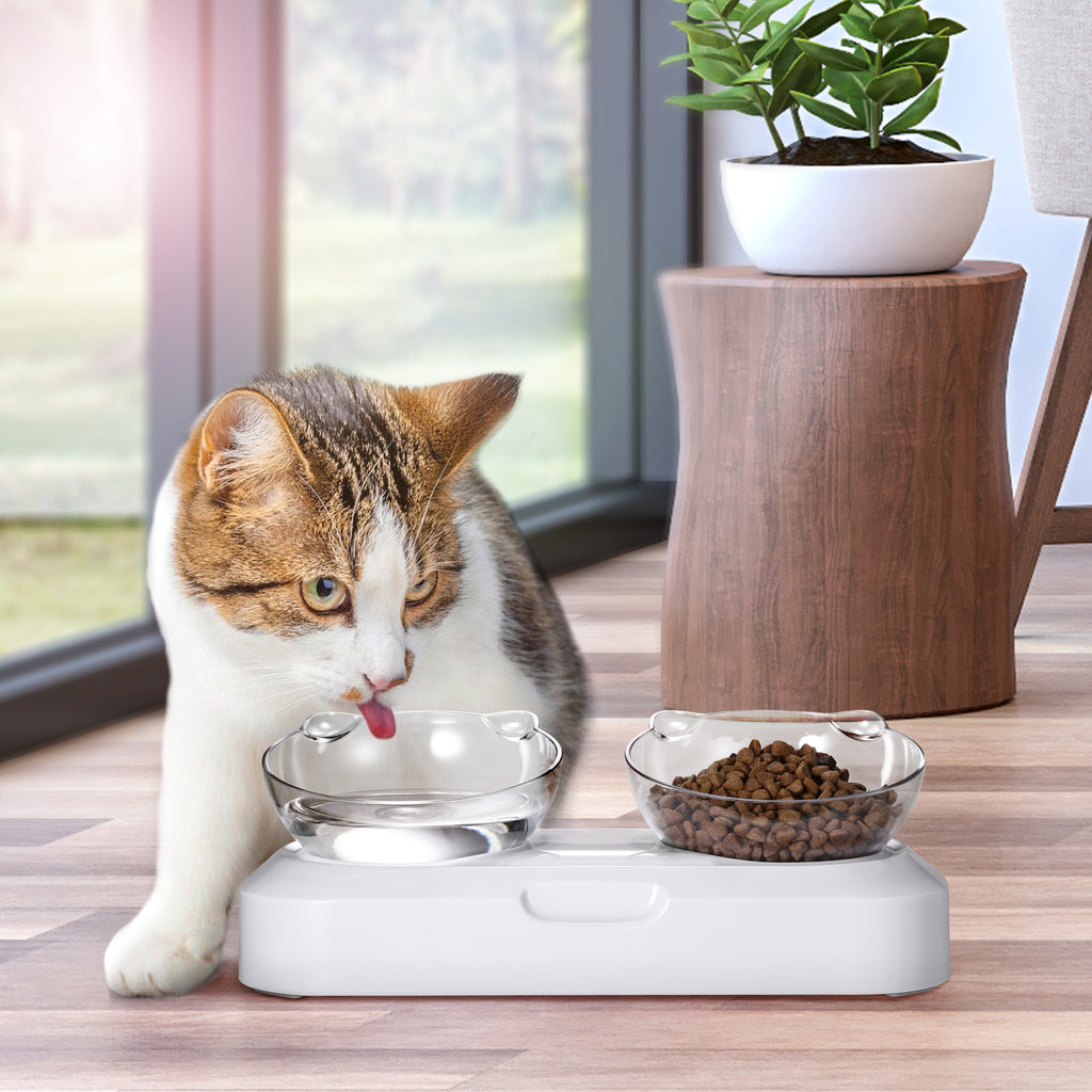 Portable Anti-Slip Pet Bowl