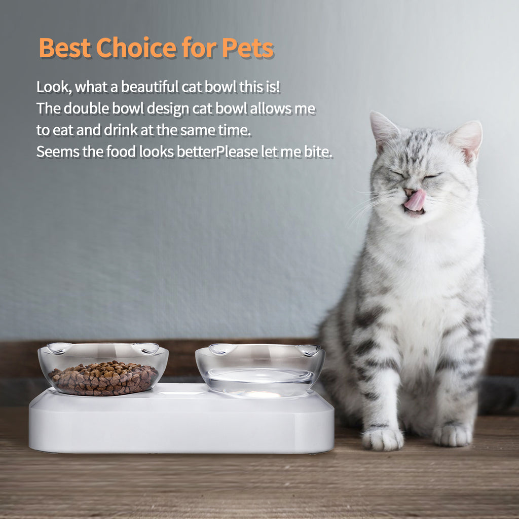 Portable Anti-Slip Pet Bowl