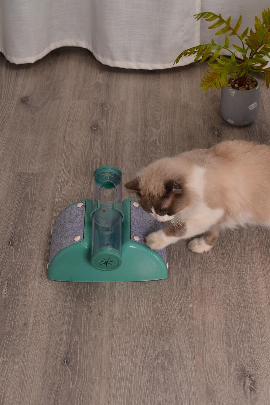 Peek & Play Cat Activity Box – Green