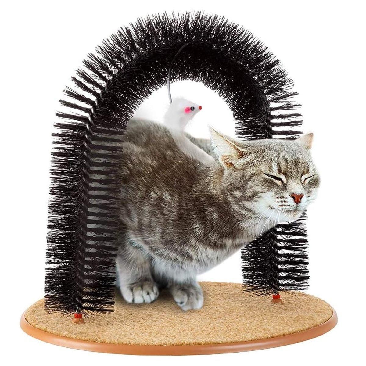 Interactive Cat Self-Grooming Arch with Toy
