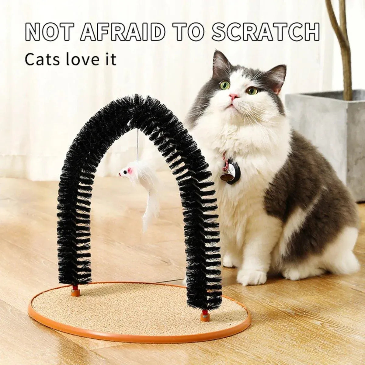 Interactive Cat Self-Grooming Arch with Toy