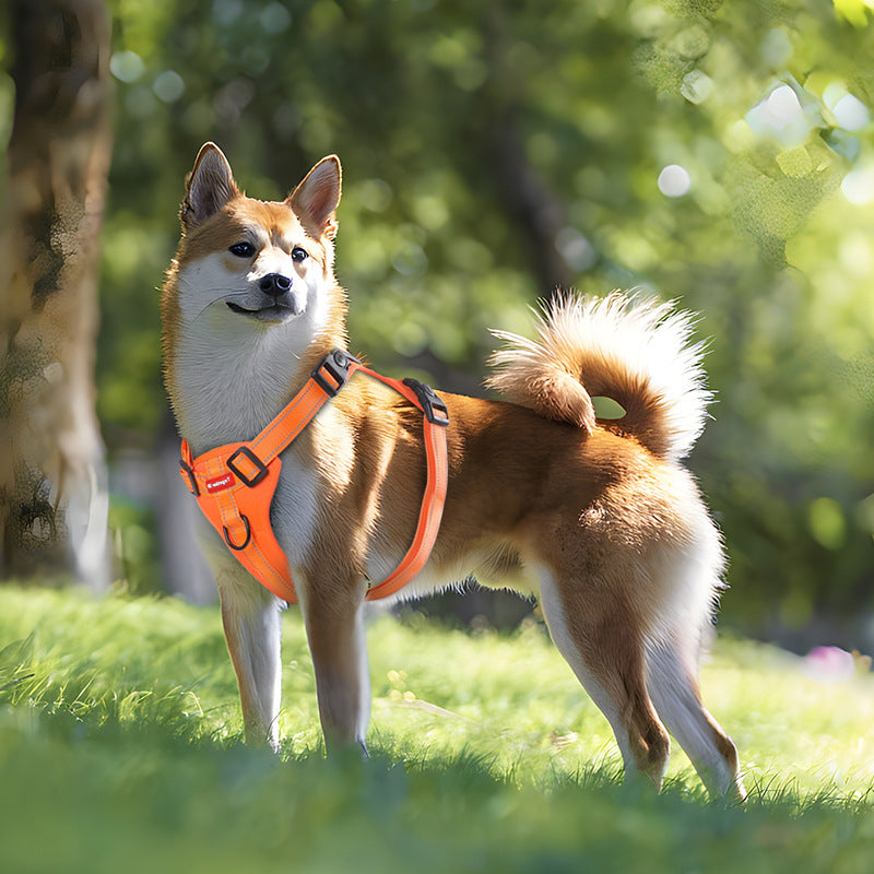 Reflective No-Pull Dog Harness & Leash – Large