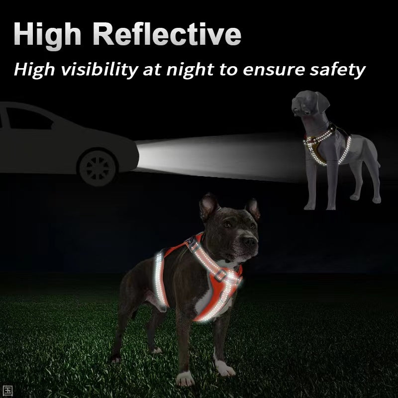 Reflective No-Pull Dog Harness & Leash – Large