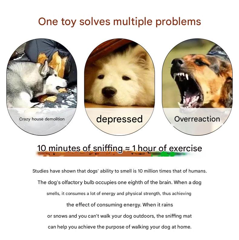 Interactive Snuffle Ball with Squeaker – Blue & Pink