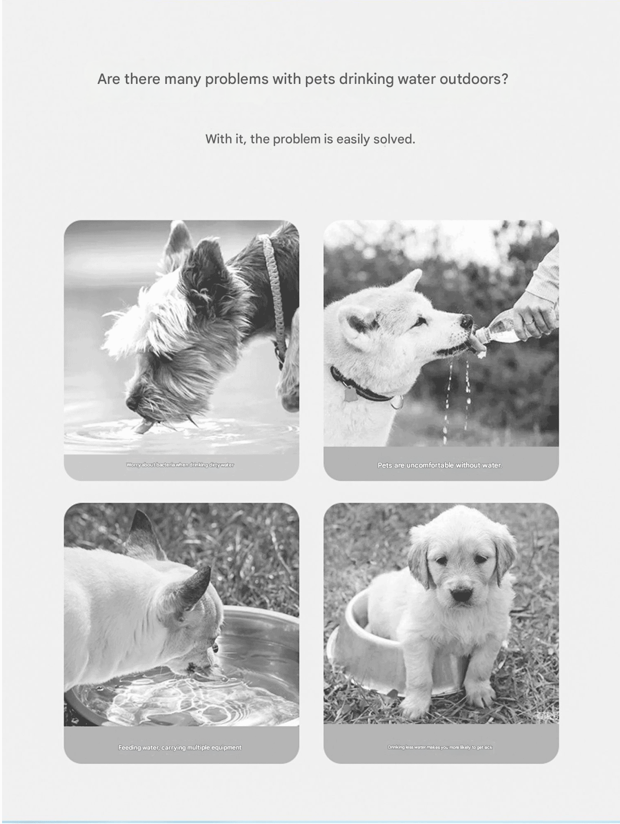 2-in-1 Dog Travel Water Bottle & Treat Container