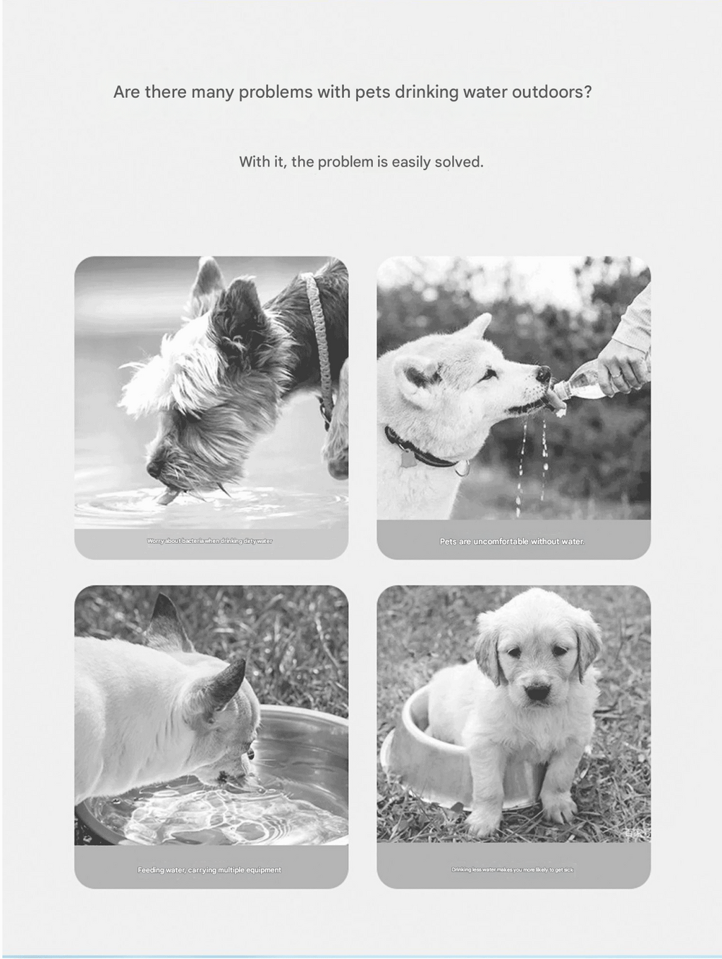 350ml Portable Dog Water Bottle – Yellow
